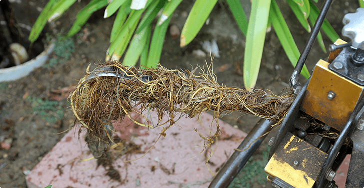 Experts Blocked Drains Plumbers Mentone